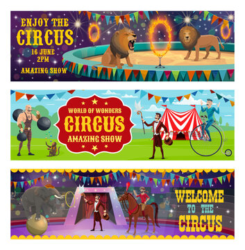 Circus animals show and illusionist performance