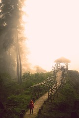 Obraz na płótnie Canvas foggy morning in the mountains