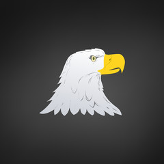 American Bald Eagle or Hawk Head Mascot Graphic, Bird facing side. T-shirt graphics. Vector illustration isolated on white background