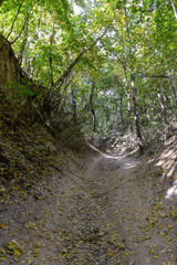 Wąwóz Świętej Królewej Jadwigi