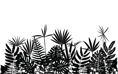 Silhouette of spring and summer tropical plants and flowers. Horizontal pattern. Vector illustration of nature ficus, palm, monstera, fern, black and white color isolated on white background