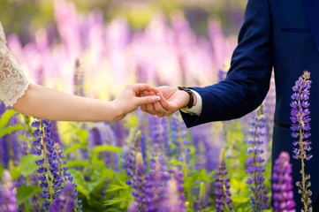 Hands of a bride and groom in wedding day on the background of lavender field. Young couple in love enjoys the moment of happiness in summer among purple flowers.