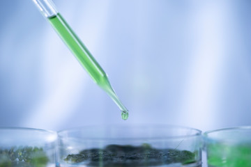 Photobioreactor in lab algae fuel biofuel industry, Algae fuel, Algae research in industrial laboratories