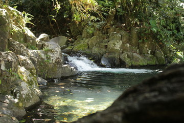 cascade de beauté