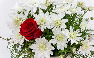 A bouquet of beautiful flowers. White chrysanthemum and red rose on a white background.