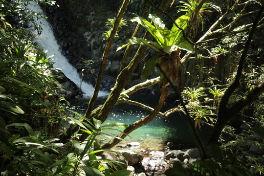 Cascade paradis