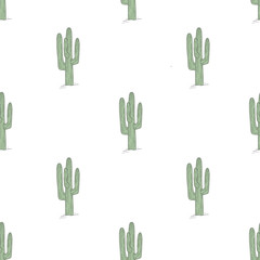 Cute cactus mexican ethnic succulent seamless pattern - 265206379