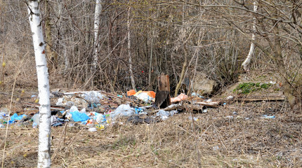 Rubbish in the bushes, pollution of nature, environmental disaster.