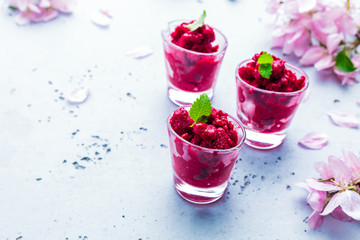 Raspberry sorbet - summer cold, refreshing fruity dessert