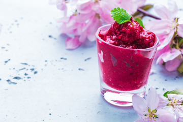 Raspberry sorbet - summer cold, refreshing fruity dessert - obrazy, fototapety, plakaty