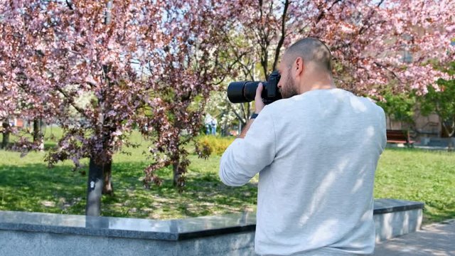 Bearded photographer in work process. A man takes photo of sakura on a digital camera