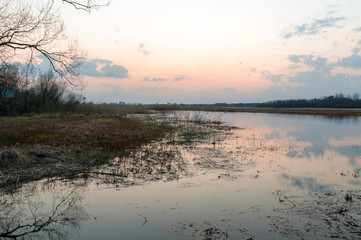 Biebrza Valley (Poland). Sunset over wet meadow