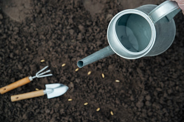 Gardening kit, watering can and seeds on soil background. Top view © Оlgart