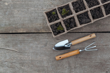 Starter tray and gardening tools on wooden background. Top view