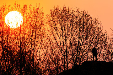 silhouette of a loving couple on a mountain among trees at sunset