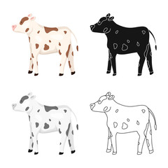 Vector design of cow and heifer symbol. Set of cow and milk vector icon for stock.