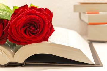 Diada de sant jordi. Fondo blanco de Rosas y libros. Día del libro. Día de los enamorados.