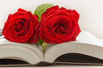 Diada de sant jordi. Fondo blanco de Rosas y libros. Día del libro. Día de los enamorados.