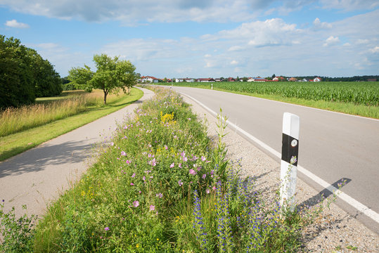 Landstraße und Radweg, Grünstreifen mit Wildblumen