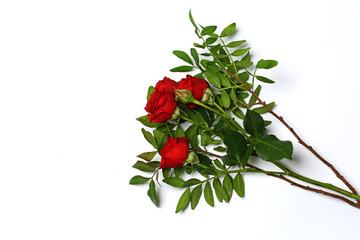red roses bouquet isolated on white background
