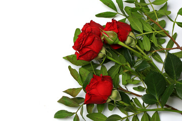 red roses bouquet isolated on white background