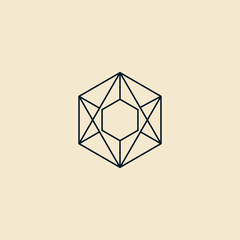 Tesseract Hexagon Protection design inspiration custom logo design