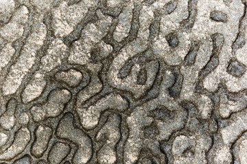 Amazing volcanic seaside rock formation.