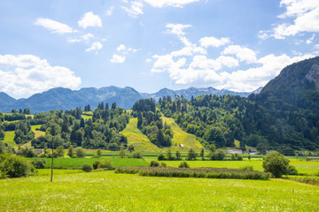Fototapeta na wymiar Beautiful Pastures of Triglav National Park, Julian Alps, Slovenia 