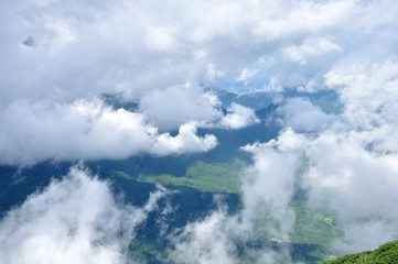 Fototapeta na wymiar 雲の群れ