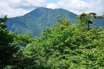 夏の御正体山