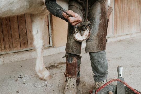 Side view of adult blacksmith using hammer to put horseshoe on hoof of horse near stable on ranch