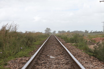 Fototapeta na wymiar railway in countryside