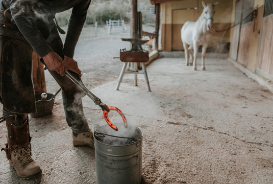 Adult farrier using hammer and tongs to forge hot horseshoe on portable anvil near stable on ranch