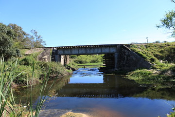 Fototapeta premium bridge over the river