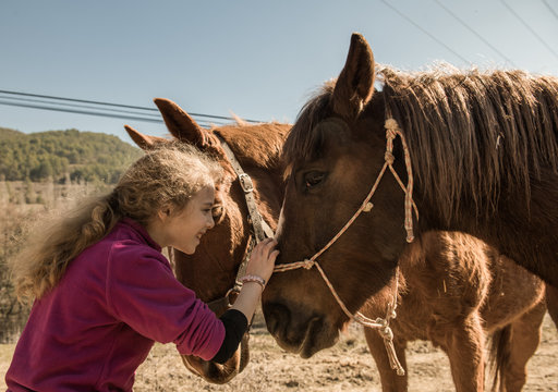Woman taking care of horse near stable after lesson on sunny day on ranch