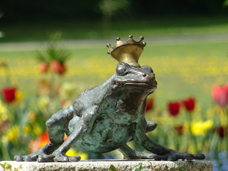 the fairy tale of the frog king of brothers grimm