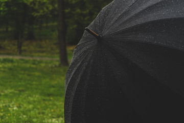 Black Umbrella in the rain. Park visible in background