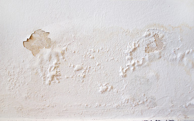 wall white
