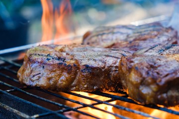 Summer nature grill bbq meat,  outdoors lawn.