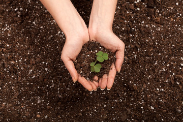 hobby gardening at home 