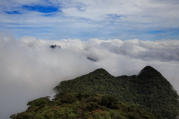 Chinese Mountains above the clouds, hills covered in exotic trees. Dayao Mountain range near Jinxiu City, Guangxi Province China. Shengtang Mountain, Shengtangshan. Hiking and Travel, Sea of Clouds