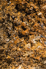 Orange rustic seaside rock texture.