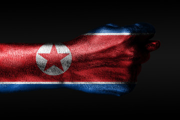 A hand with a painted North Korea flag shows a fig, a sign of aggression, disagreement, a dispute on a dark background.
