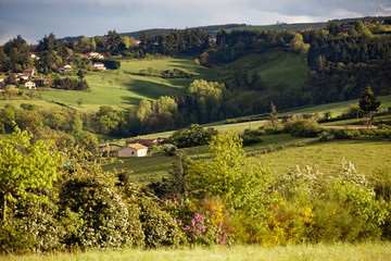 Obraz premium Pollionnay, France - April 26, 2019: Nice landscape near Lyon city in France