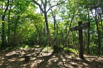 木漏れ日の御坂山地 府駒山