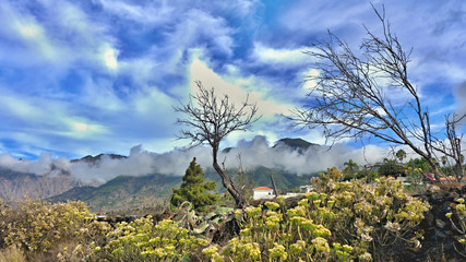 View of the Cumbrecita, the mountains in the west of the island of La Palma