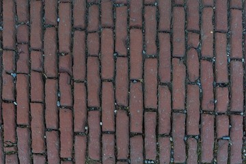 pathway of brick