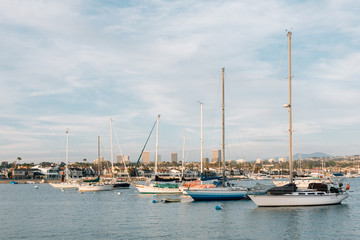 Fototapeta premium Boats in Newport Harbor, in Newport Beach, Orange County, California