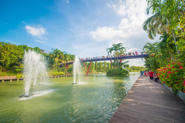 Gardens by the bay park in Singapore.