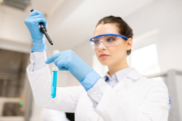 Naklejka premium Serious concentrated female chemist in sterile gloves dropping reagent into test tube while doing scientific research in laboratory